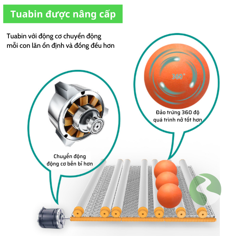 Máy ấp trứng gà mini thông minh Dương Ninh M10-130 trứng MAT03