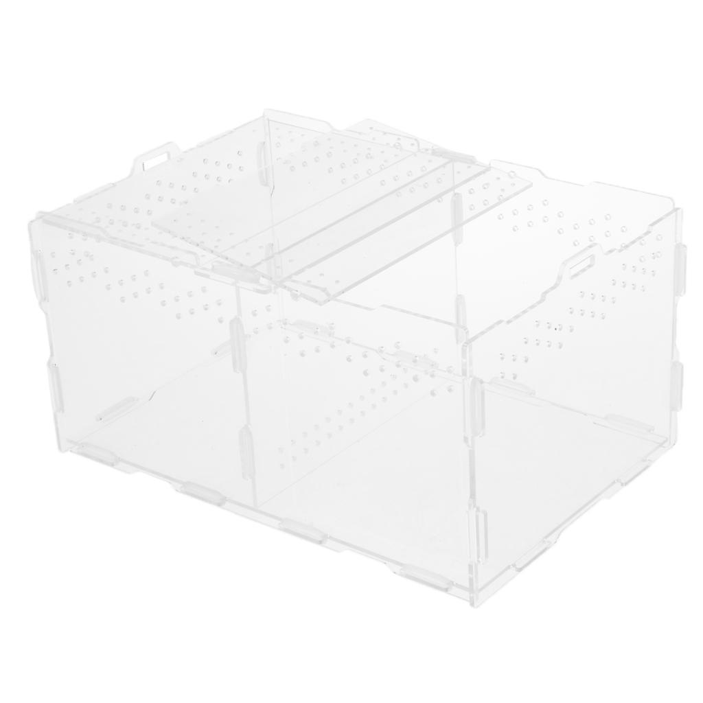 Acrylic Feeding Container Breeding Box An Room for Reptile