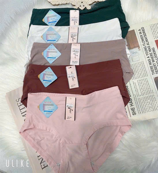 Combo 5 quần lót nữ thun lạnh thông hơi Voronin 2067 – Mát mịn, co giãn 4 chiều, không hằn viền