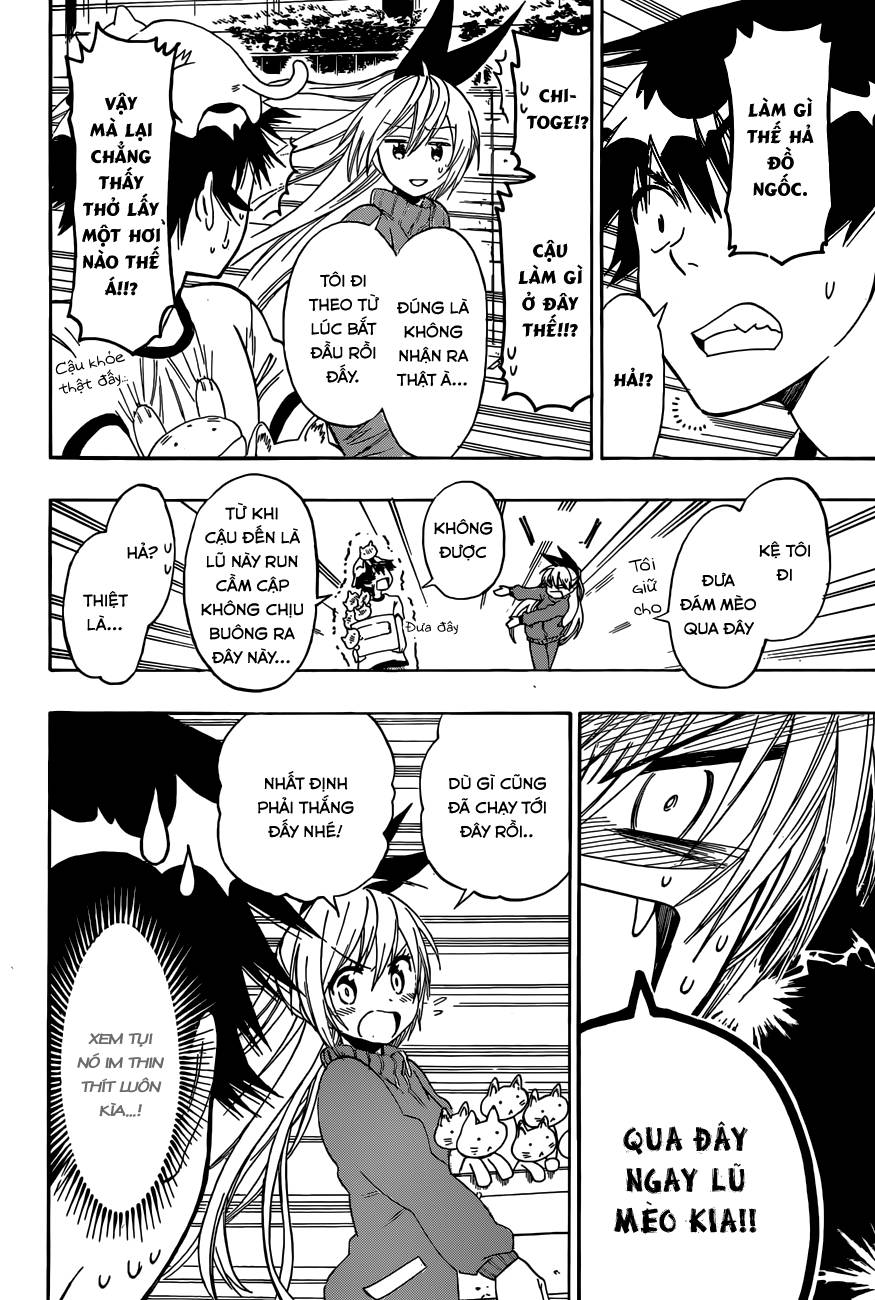 nisekoi - tình yêu giả tạo chapter 73 11