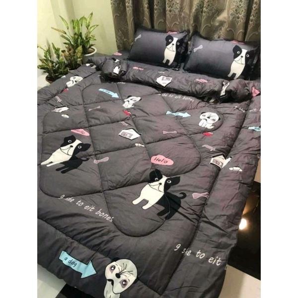 Trọn bộ 5 món ga gối chăn phao poly cotton có ruột bông dày loại 1