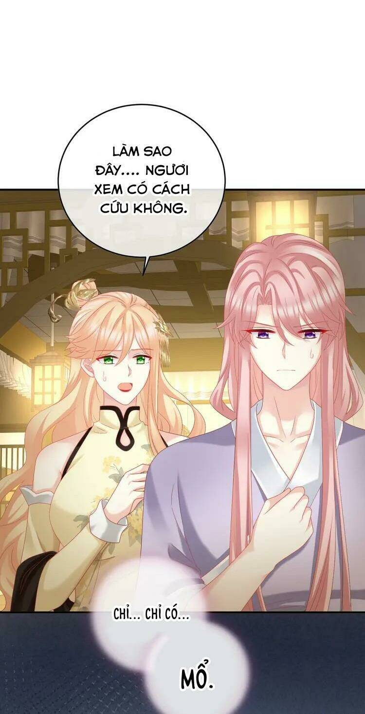 kiều phu có hỉ chapter 51 28