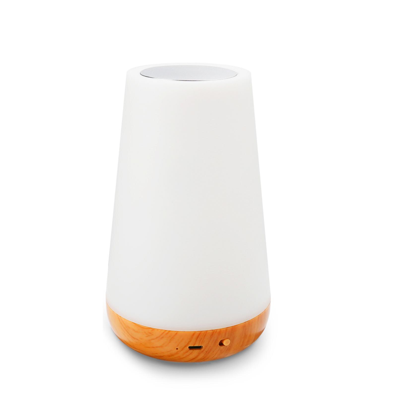 Night Light Remote Baby Bedroom Bedside Desk Tap Lamp