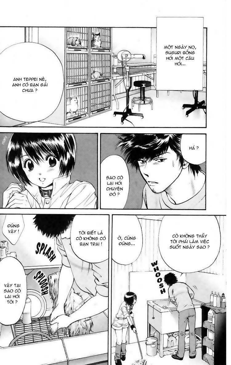 cô nàng yêu chó chapter 8 2