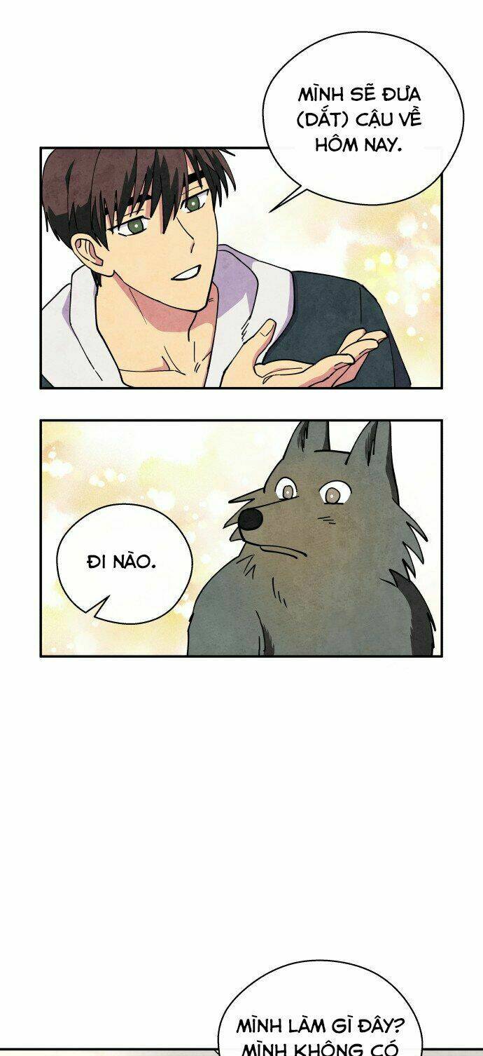 tai sói và mũ đỏ chapter 29 47