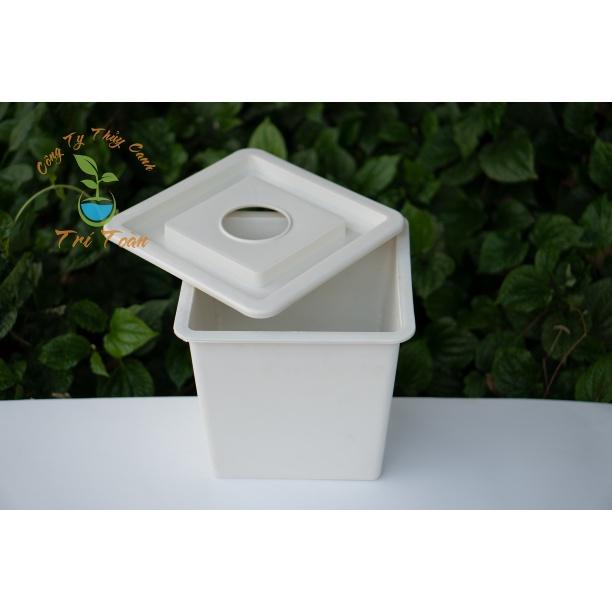 Thùng nhựa, chậu nhựa trồng thủy canh tĩnh cây ăn trái