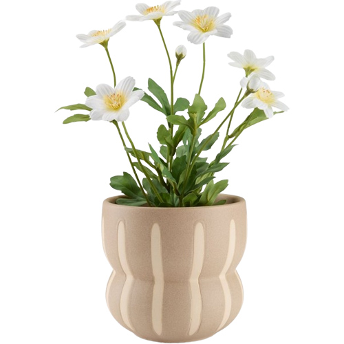 Chậu cây | JYSK Jerry | gốm | be | Dk14xC13cm