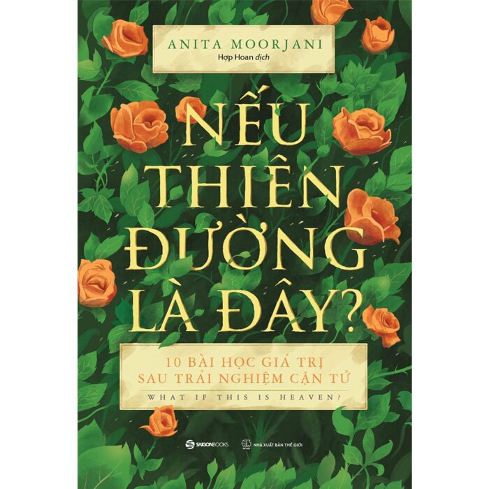 Nếu Thiên Đường Là Đây? 10 bài học giá trị sau trải nghiệm cận tử