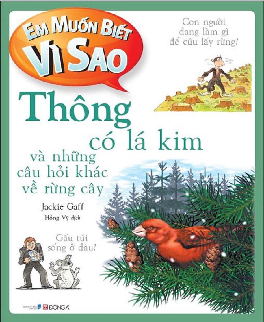 Em muốn biết vì sao thông có lá kim và những câu hỏi khác về rừng cây