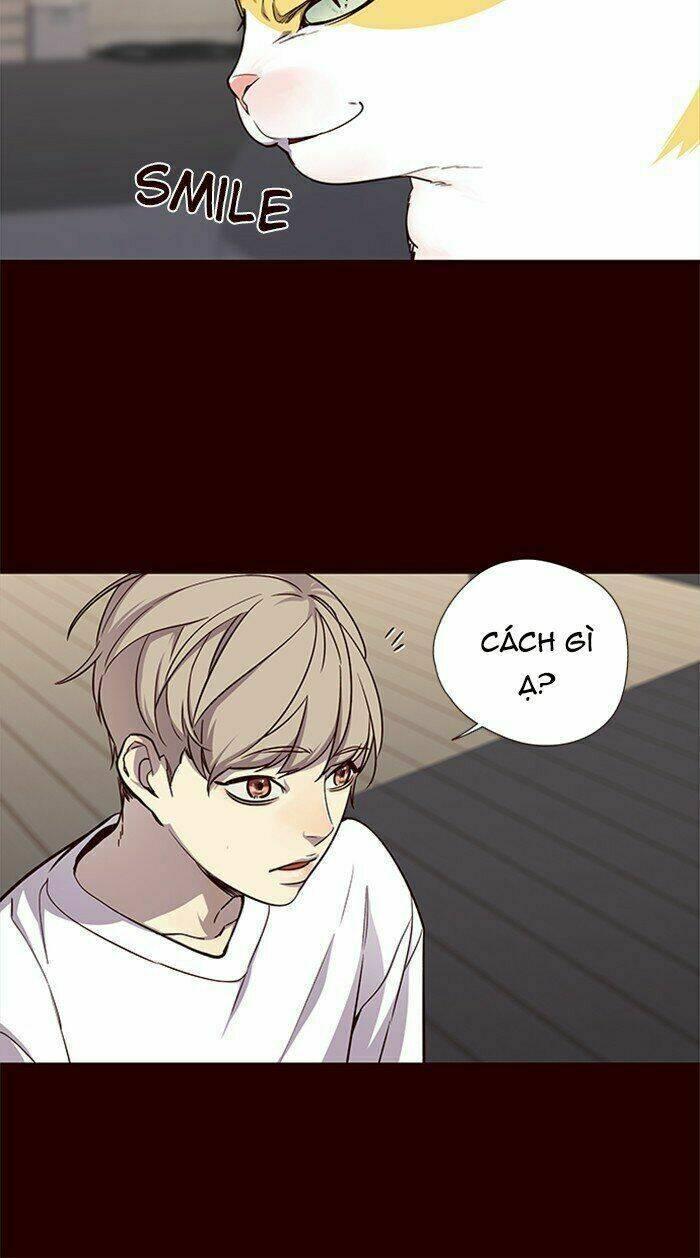 biến thân thành mèo chapter 27 41