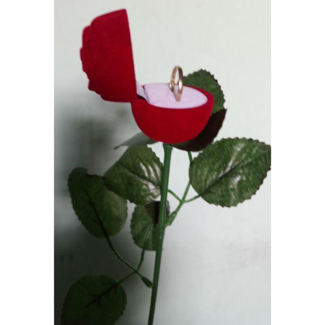 Hoa hồng cầu hôn Bông hồng CẦU HÔN
