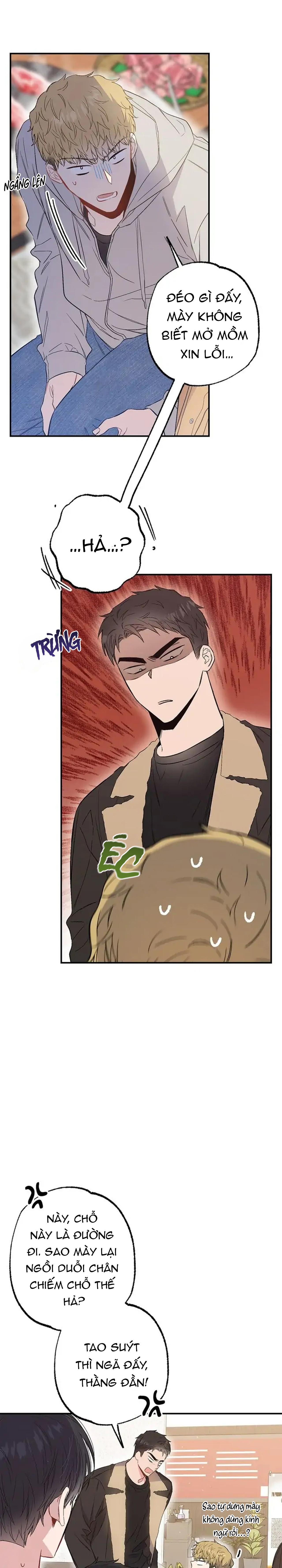 chung một bầu không khí (end) chapter 36 10