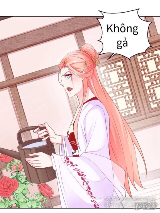 thịnh thế vô cấu chapter 11 8