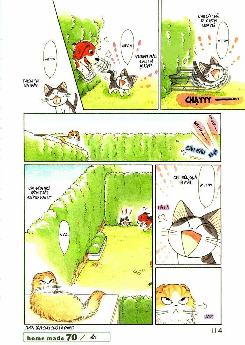 chi's sweet home chapter 70 9