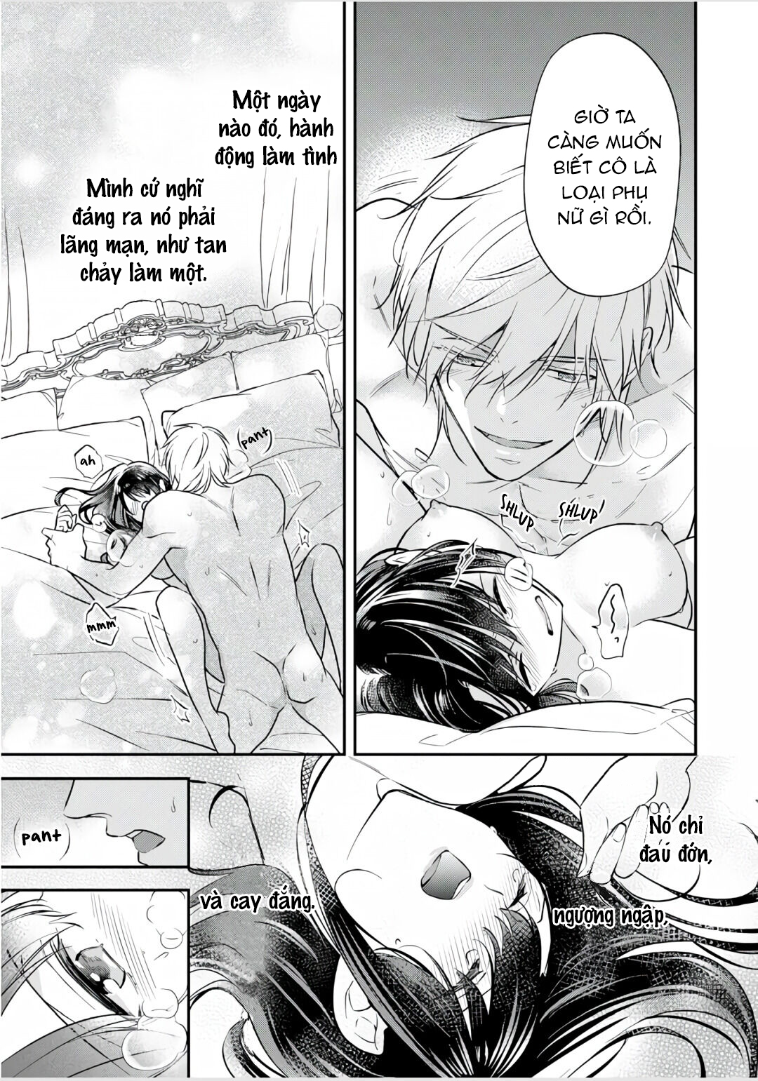 xuyên vào thế giới khác, trở thành thế thân cho công chúa rồi bị bạo chúa mang đi chapter 2.2 10