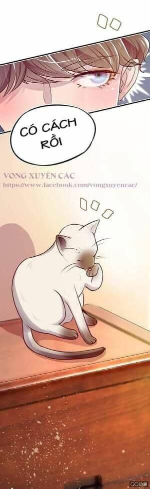 lãnh tình boss xin buông tay em chapter 7 16