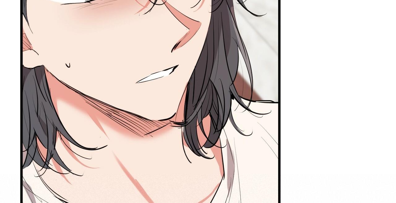 đàn thỏ của habibi chapter 36 115