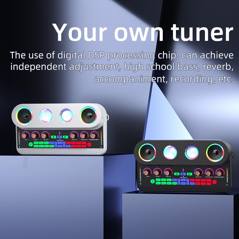 Loa âm thanh loa karaoke home trực tiếp hát hiệu ứng âm thanh tất cả trong một mic Color: S20-White-L