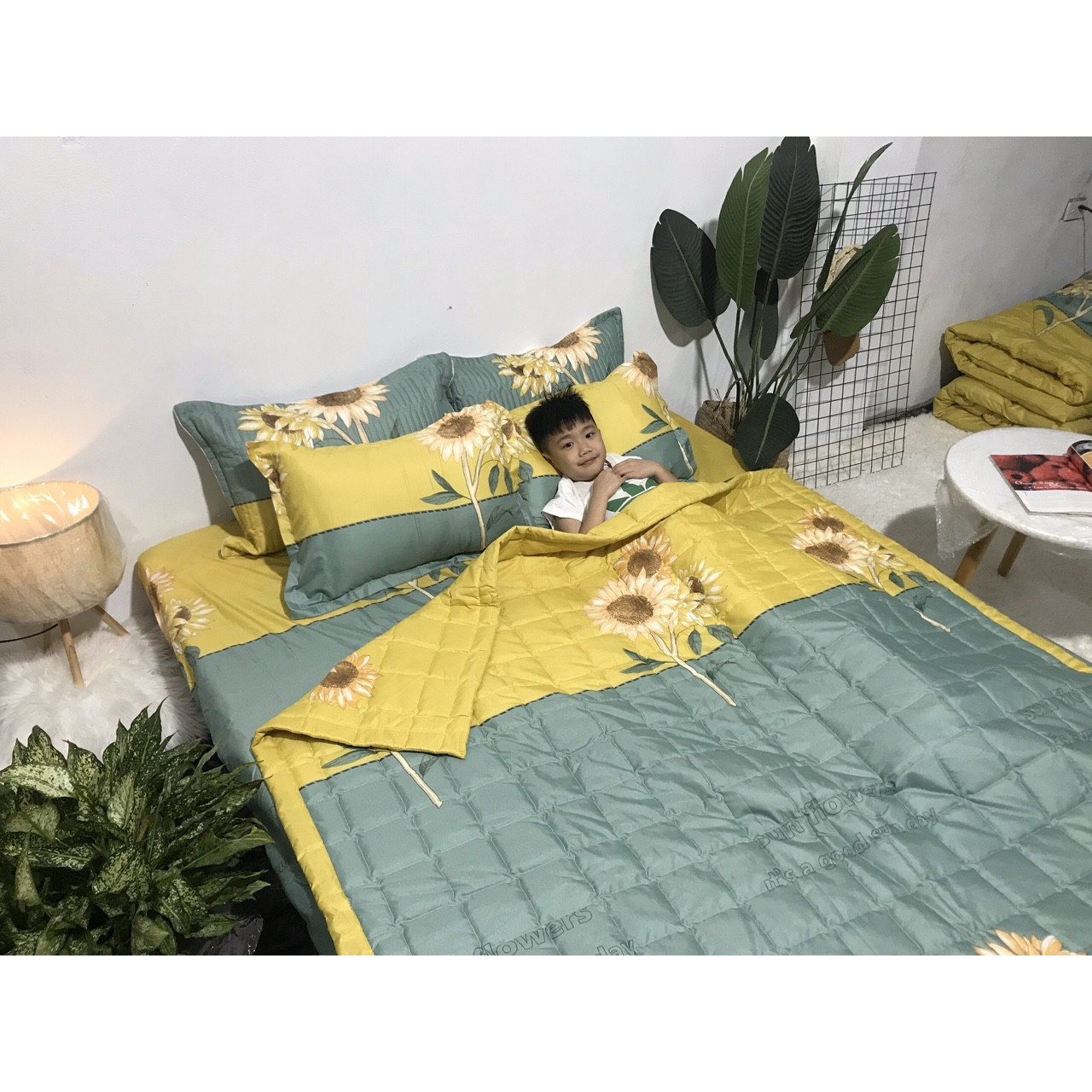 BỘ DRAP & CHĂN HÈ CHẦN BÔNG 5 MÓN ZD - HOA MẶT TRỜI