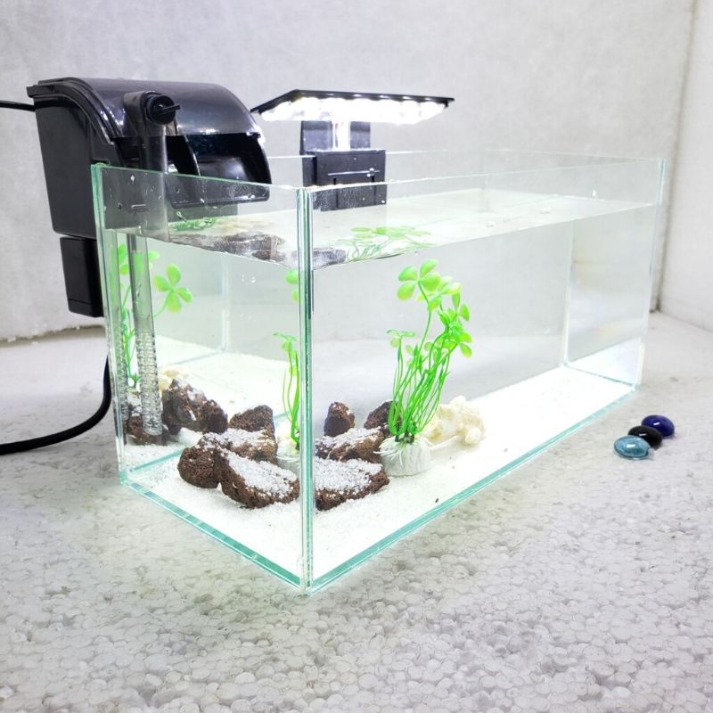 Bể cá mini để bàn có hồ lọc đèn phụ kiện đầy đủ