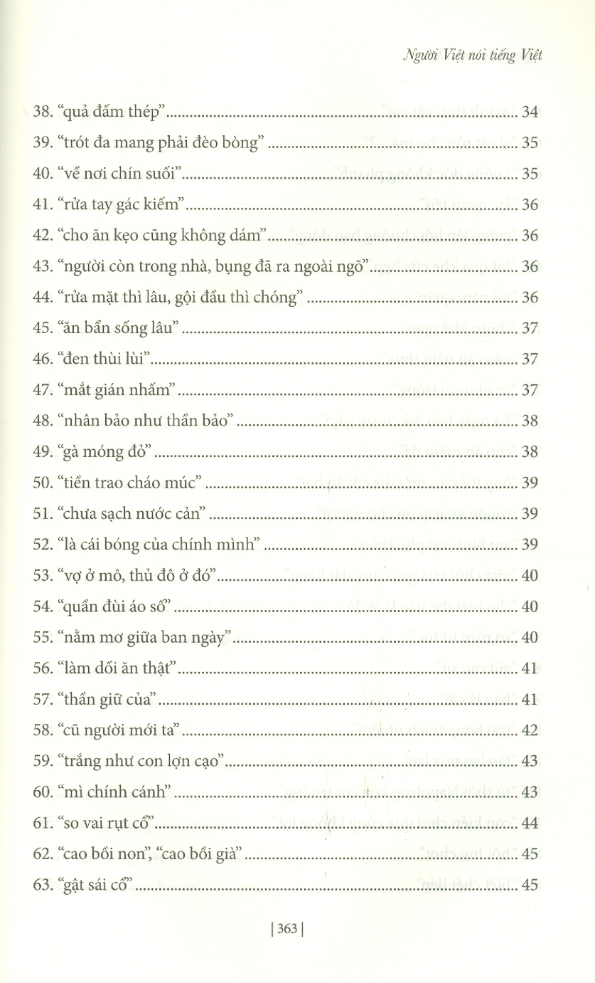 Người Việt Nói Tiếng Việt