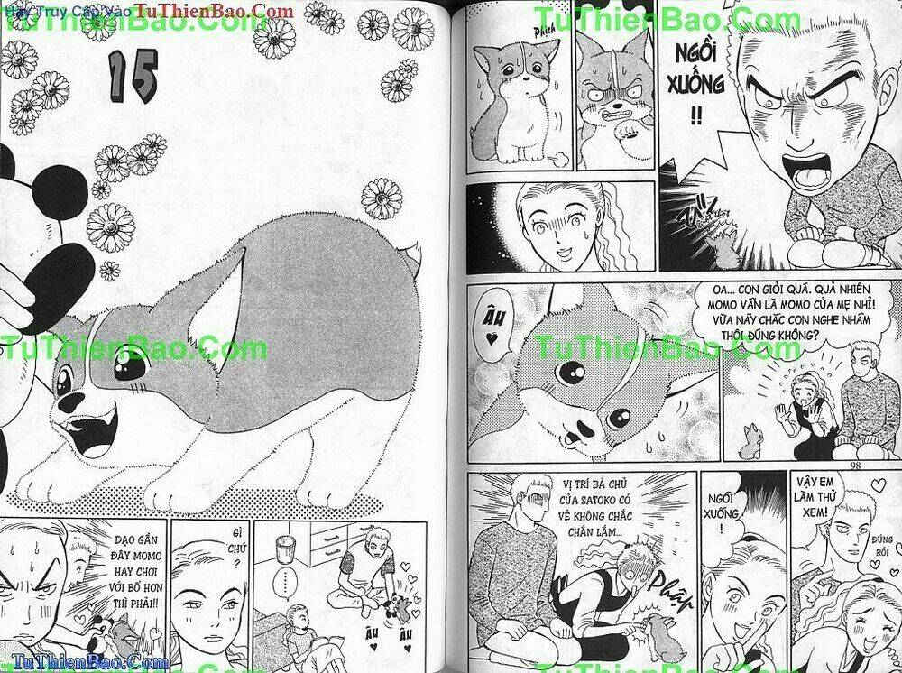 chó con mo mo chapter 2 50