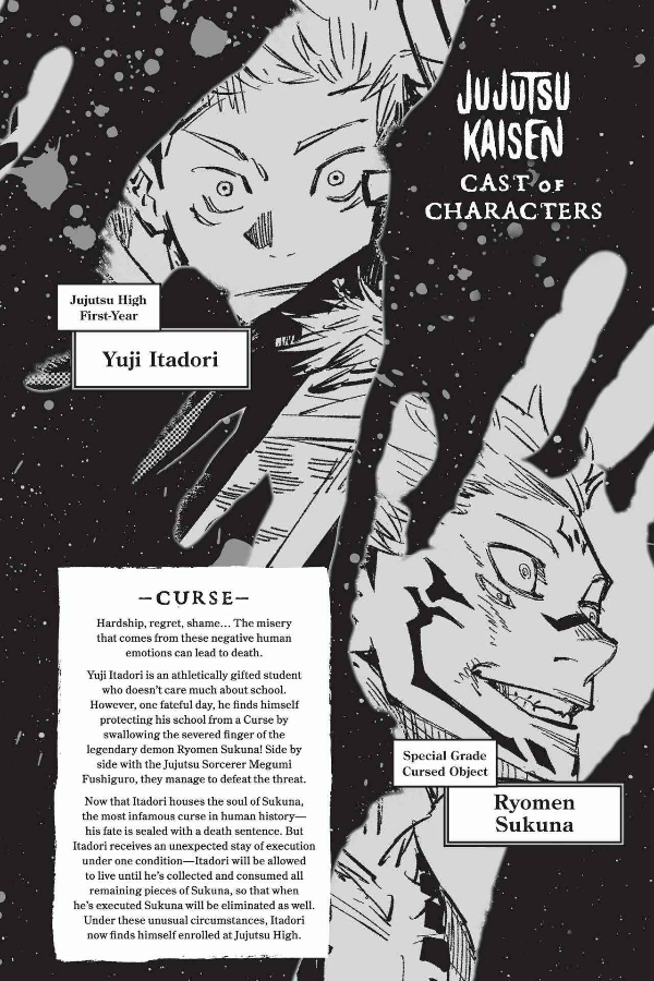 Jujutsu Kaisen 2 (English Edition)