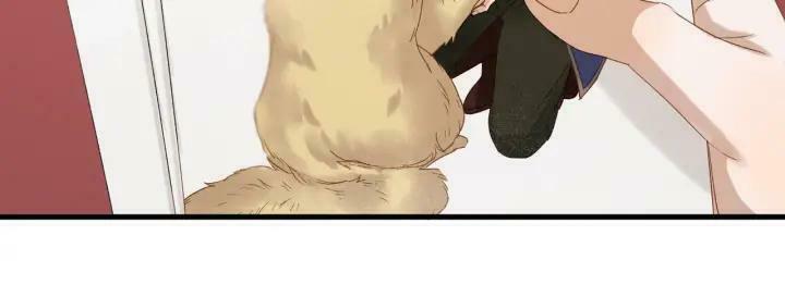 lượm được một tiểu hồ ly phần 3 chapter 78 13