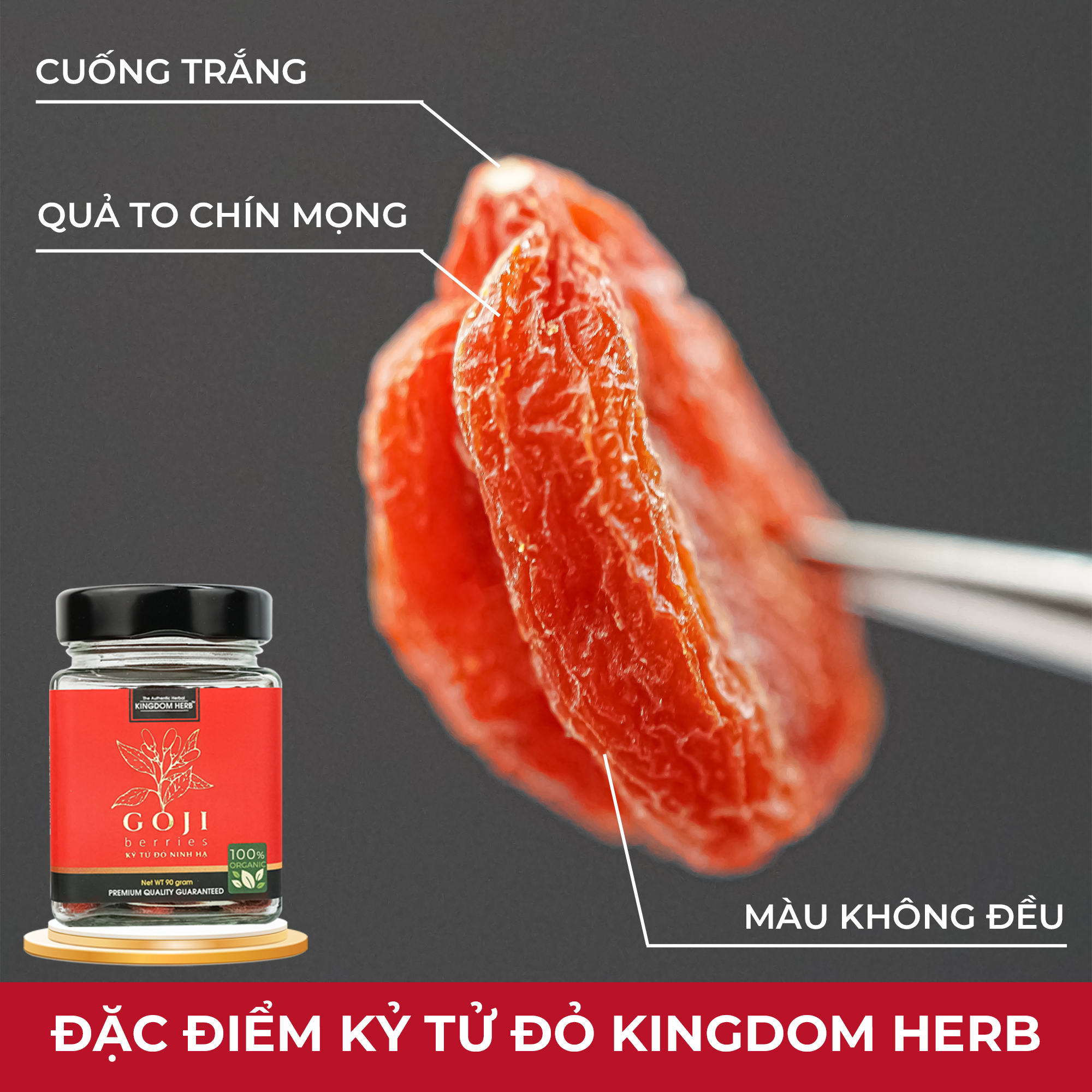 Kỷ tử organic Ninh Hạ Kingdom Herb chính hãng thượng hạng hộp 90g - KQ