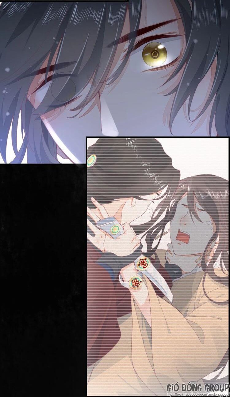 trở lại trước bình minh chapter 1 46