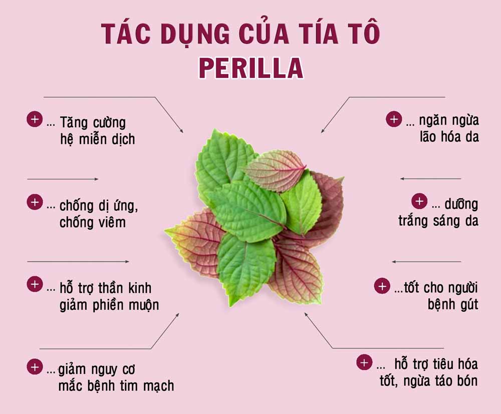 Bột tía tô nguyên chất FTAKY - Hộp 100g