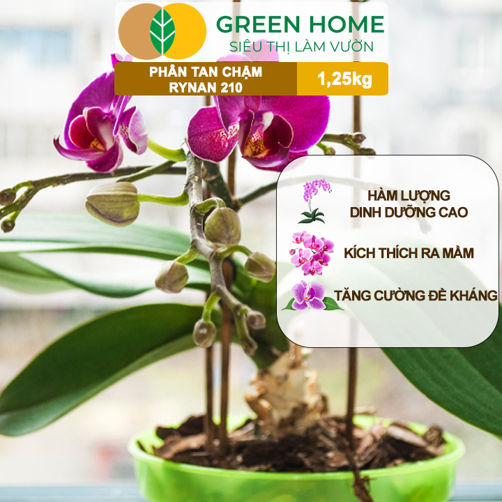 Phân Tan Chậm GreenHome, Rynan 210, Hũ 1,25kg, Dùng Cho Phong Lan Trưởng Thành, Đủ Dưỡng Chất