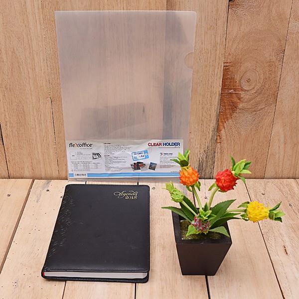 Bìa lá trong suốt Thiên Long A4 FO-CH168 túi 100 cái