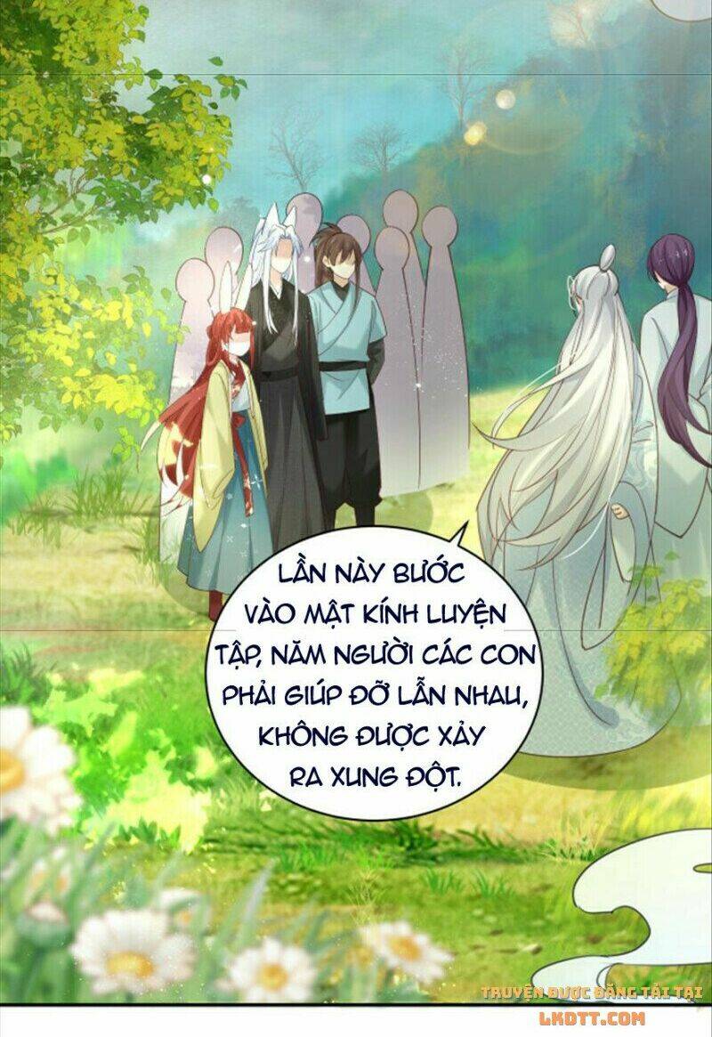hắc hóa nam chính trực tuyến nuôi thỏ chapter 50 16