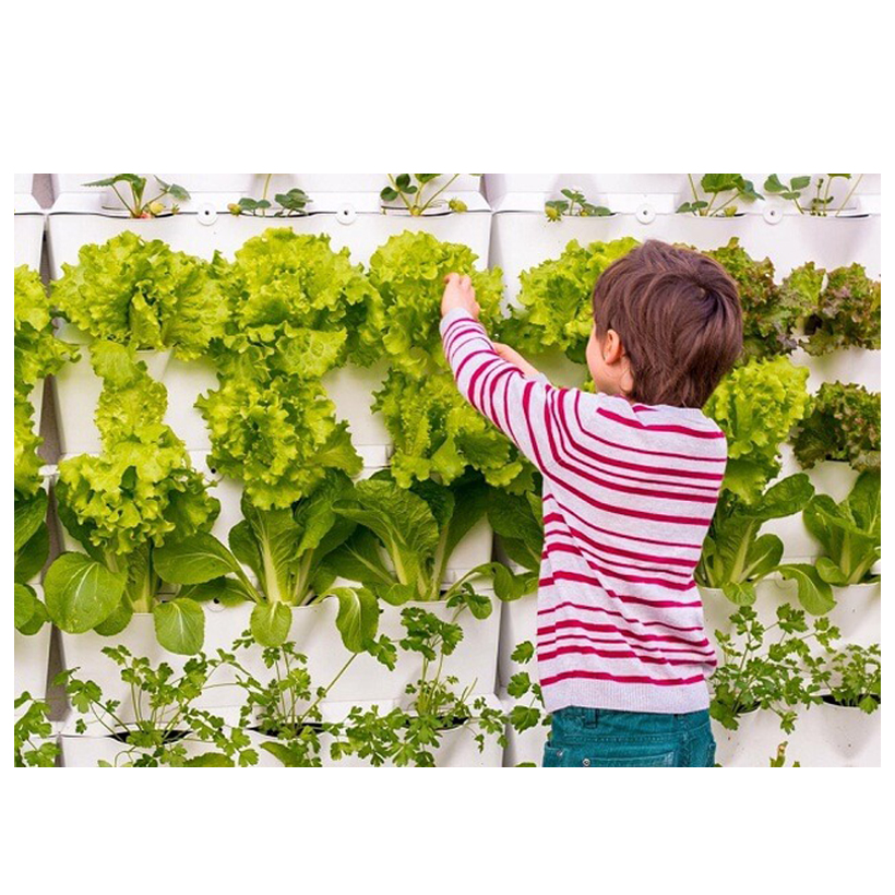 Chậu Trồng Rau Đứng Nhập Khẩu kèm bộ tự Tưới nhỏ giọt và tự bón phân cho rau tự động