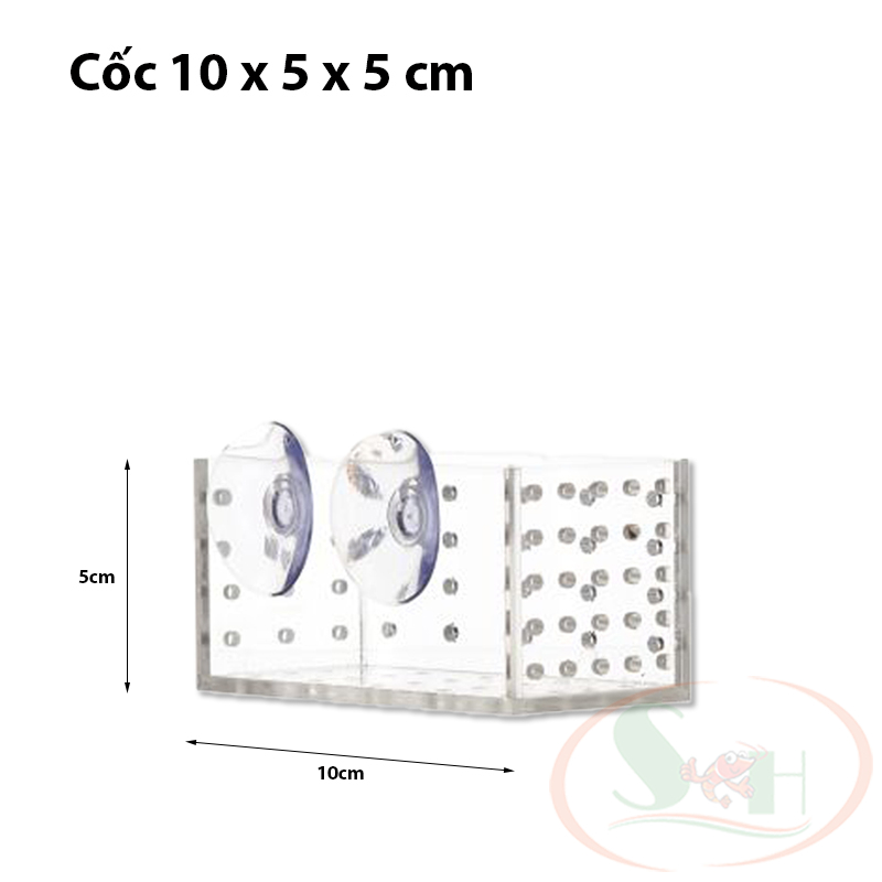 Cốc trồng cây mica Ebi-VN đa năng ươm cây thủy sinh cho ăn bể cá tép