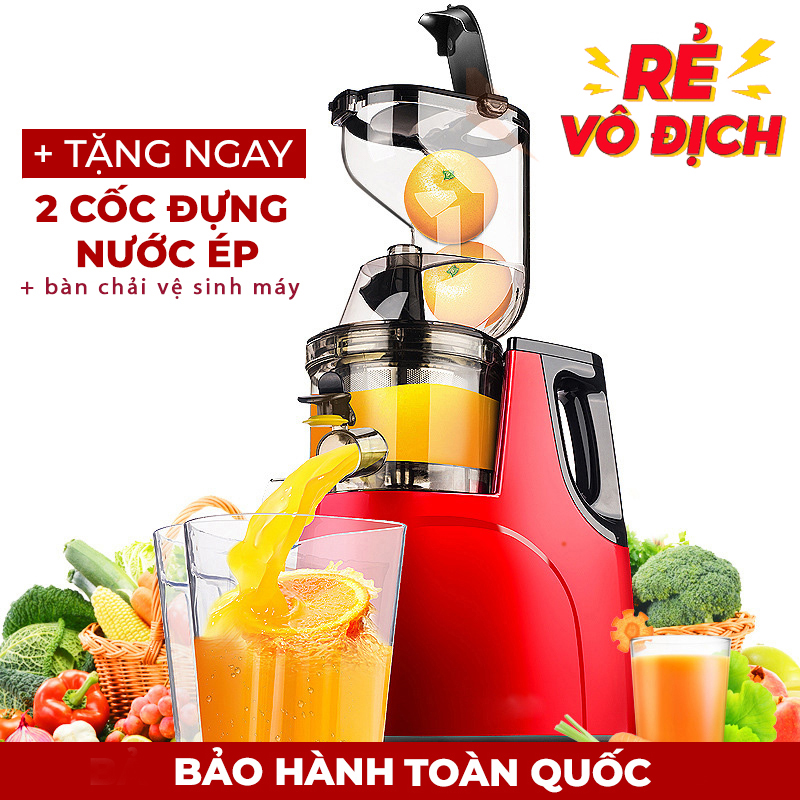 Máy ép chậm cỡ lớn RH-312 ép rau củ hoa quả 95% lượng nước