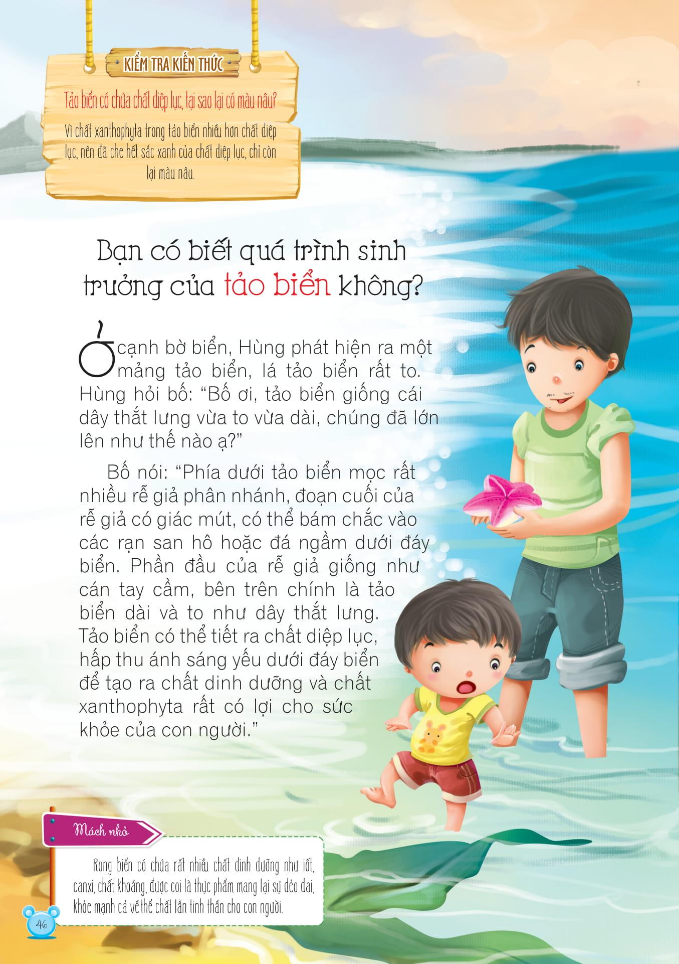 Hỏi Gì Cũng Biết - Bí Mật Từ Thực Vật