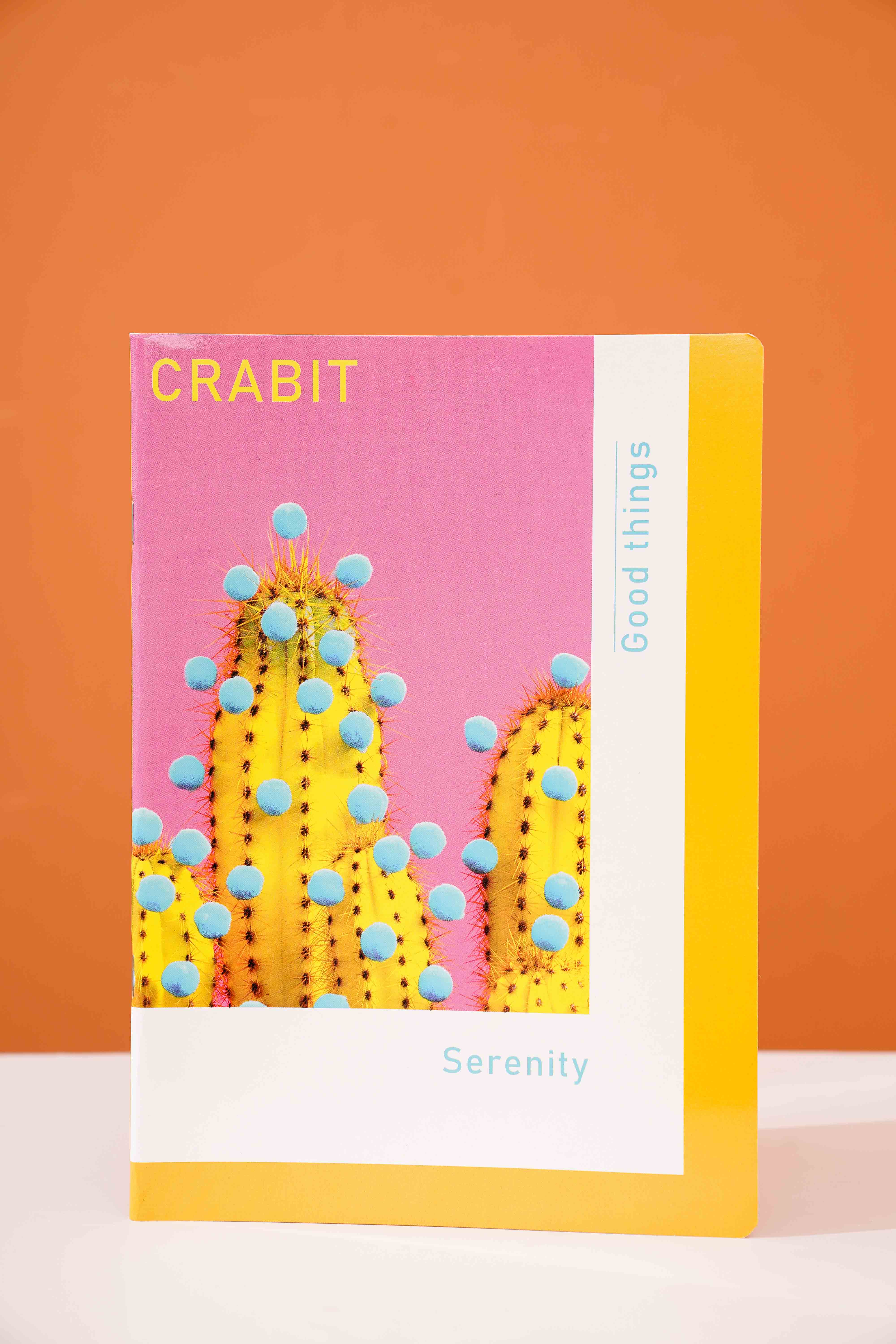 Combo 12 vở kẻ ngang Crabit Serenity Indie 80 trang