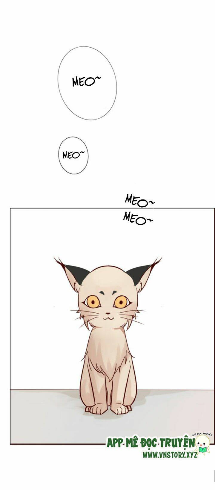 hồ tiên này không tin được chapter 7 18