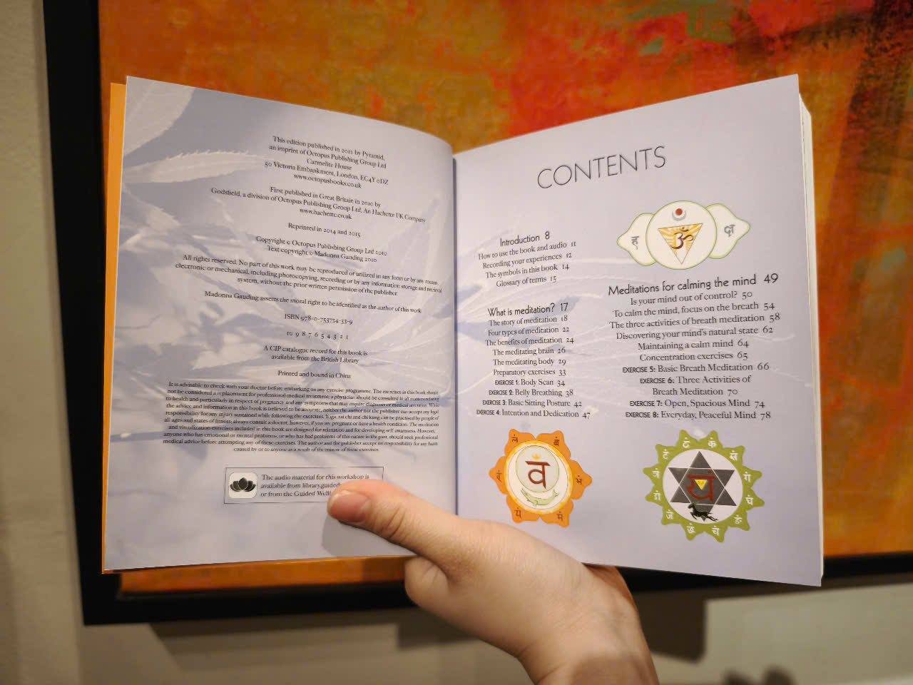 Sách - The Meditation Experience: Your Complete Meditation Workshop by Madonna Gauding