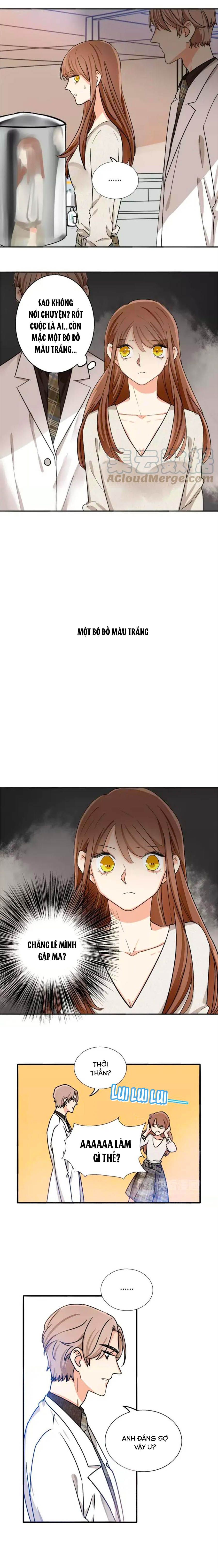 mùi hương lãng mạn chapter 49 7