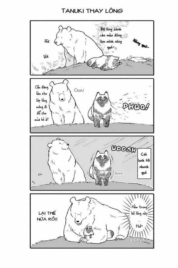 gấu và tanuki chapter 1 5