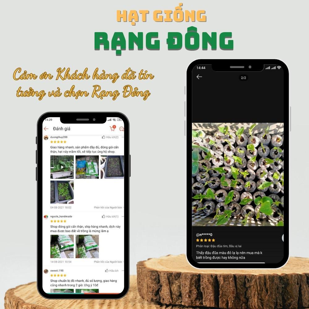 Hạt giống Hành Lá Rado 25 (2,5g~700 hạt) cây phát triển mạnh, trồng quanh năm, dễ chăm sóc - Hạt giống Rạng Đông