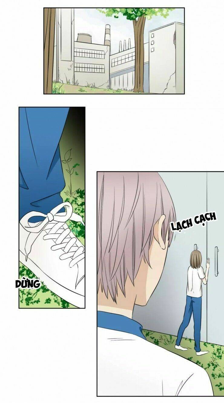 trúc mã ngoe nguẩy đuôi chapter 6 12