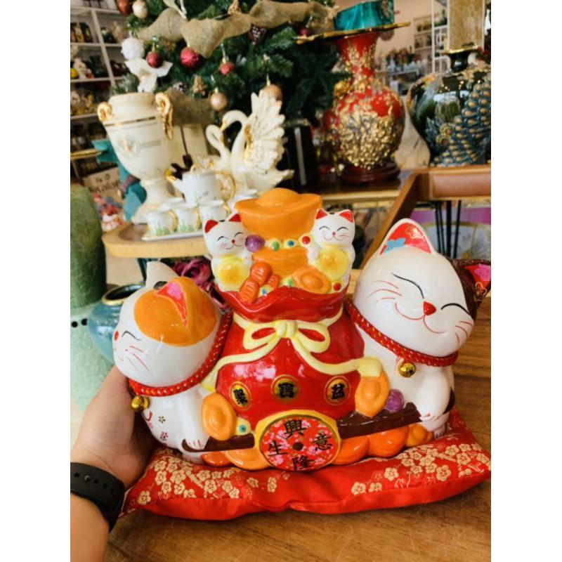 Mèo may mắm không vẫy