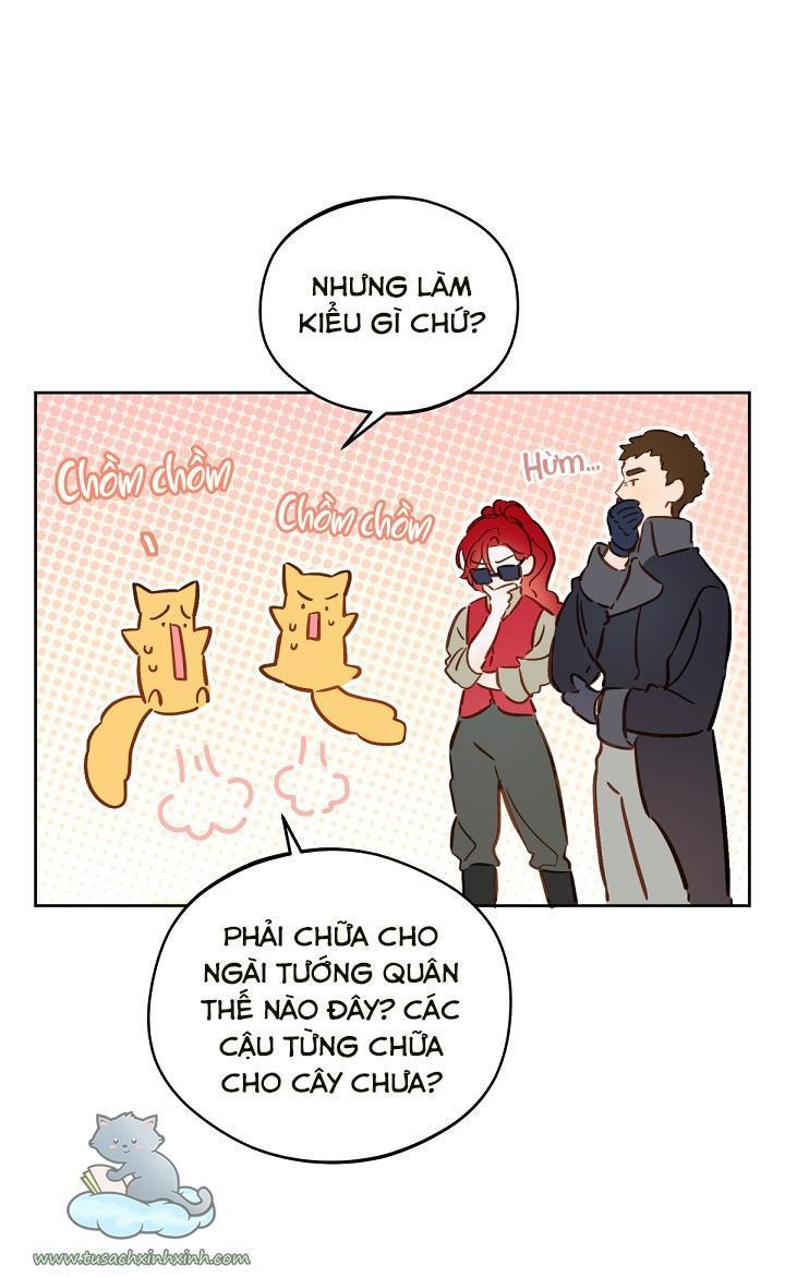 trang trại hạt dẻ cạnh hoàng cung chapter 15 38