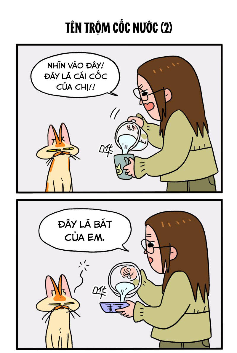 a mãn và mạch trà chapter 26 3