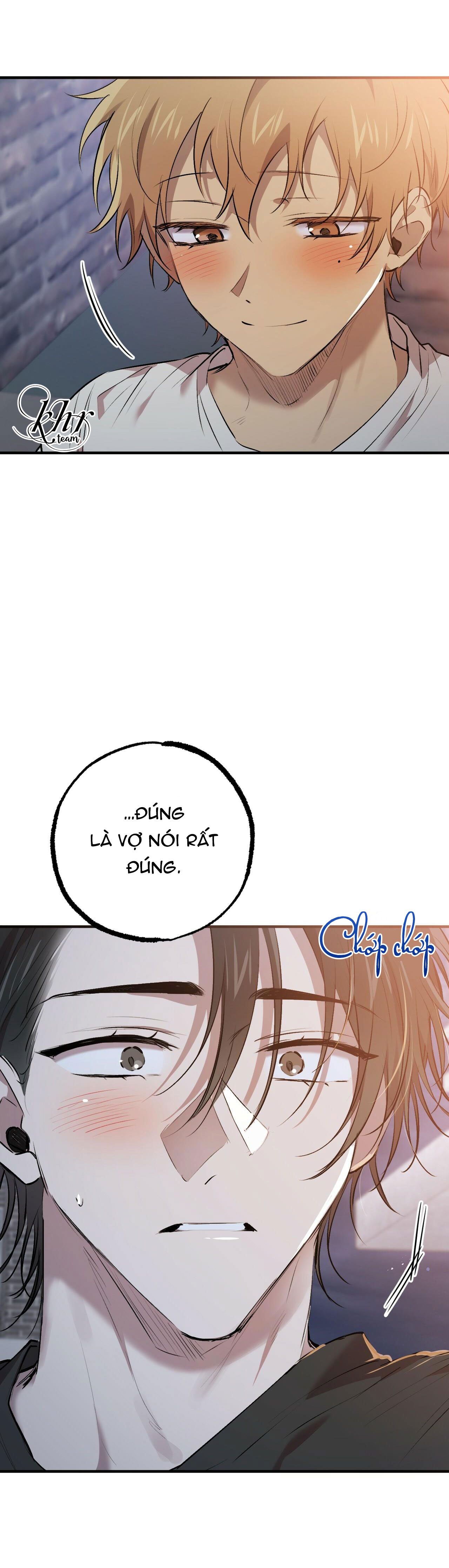 những chú thỏ của hapypy chapter 41 28