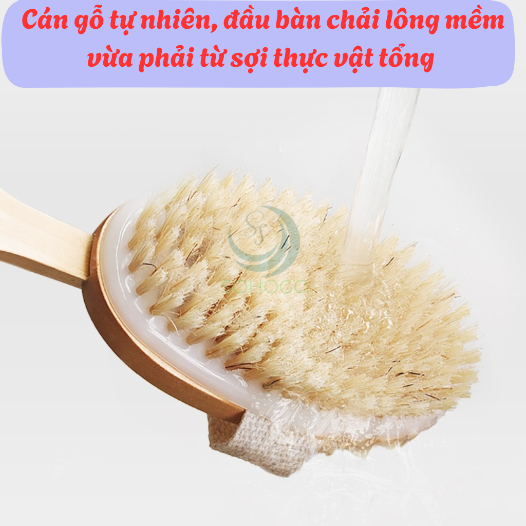 Bàn chải tắm cán dài bằng gỗ tự nhiên - Bàn chải massage cơ thể cao cấp - Cọ tắm khô &amp; ướt cán dài tiện lợi - Bàn chải chà lưng chống tế bào chết - Bàn chải tắm toàn thân spa tại nhà